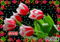 Tulip - Gratis geanimeerde GIF