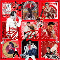 Concours du moment > Elvis Presley in red and white color - Безплатен анимиран GIF