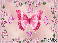 papillon - Gratis animerad GIF