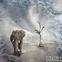 Elefante bajo el sol de África. - Бесплатни анимирани ГИФ