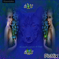 Loup et papillons - Darmowy animowany GIF