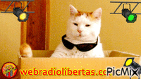 Web Rádio Libertas - GIF animado gratis