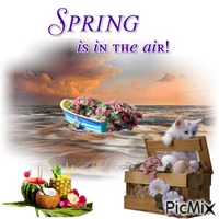 Spring Is In The Air анимированный гифка