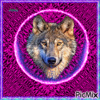 Wolf анимирани ГИФ
