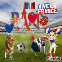 Champion de France animovaný GIF