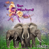bon weekend - Бесплатный анимированный гифка