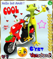 grenouille scooter GIF animado