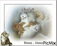 chalut bisous bisous - Darmowy animowany GIF