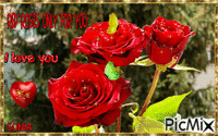 red roses GIF animé