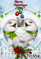Christmas owl animēts GIF
