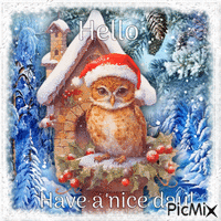 Winter Owl GIF animé