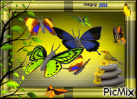 pour le concours les papillons - GIF animé gratuit