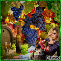 Vine Harvest !!!!! GIF animé