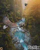 Tres águilas animovaný GIF