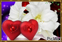 Fehér rózsa szívekkel. - Darmowy animowany GIF