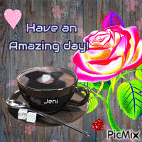 Have an amazing day