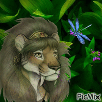Львица - Царица animerad GIF