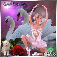 Swan Ballerina... Animated GIF