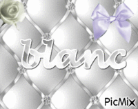 blanc - Zdarma animovaný GIF