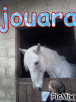 jouara - Δωρεάν κινούμενο GIF