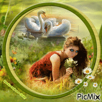 žena a labutě animowany gif