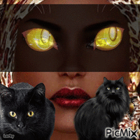 Chat noir !!!! - GIF animado gratis