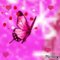 Le papillon rose - Gratis animeret GIF