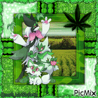 {♣}Green Catto Family{♣} анимированный гифка