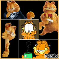 Garfield - Ücretsiz animasyonlu GIF