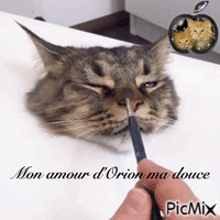 mon amour d'Orion анимированный гифка
