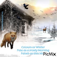 Colours of Winter - GIF animé gratuit