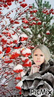 я и снегири - Zdarma animovaný GIF
