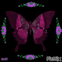 papillon анимированный гифка
