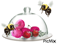 včely - Zdarma animovaný GIF