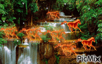 Fire Falls - Gratis animeret GIF