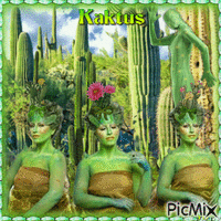 Kaktus GIF animé