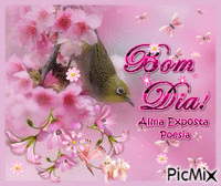 Bom Dia Rosa - Bezmaksas animēts GIF