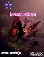 bonne soiree - GIF animado grátis
