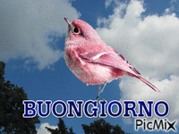 BUONGIORNO - Δωρεάν κινούμενο GIF