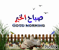 Morning - Zdarma animovaný GIF
