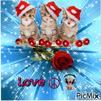 Love, Peace & Kitty Cats - GIF animé gratuit
