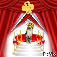 King Rex animovaný GIF