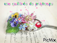 cuillerée de printemps - Bezmaksas animēts GIF