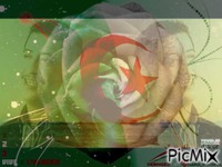 جزائري اصيل - GIF animado gratis