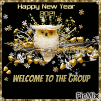 new year welcome owl animovaný GIF