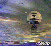 mare di notte Animated GIF