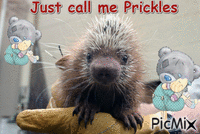 Prickles - Gratis animeret GIF
