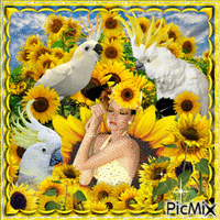Sunflower field animerad GIF