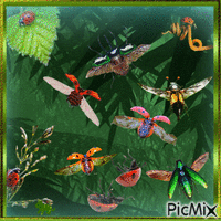 Flying 🐞 beetles GIF animado