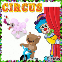 circus poodle and bear main zoo animovaný GIF